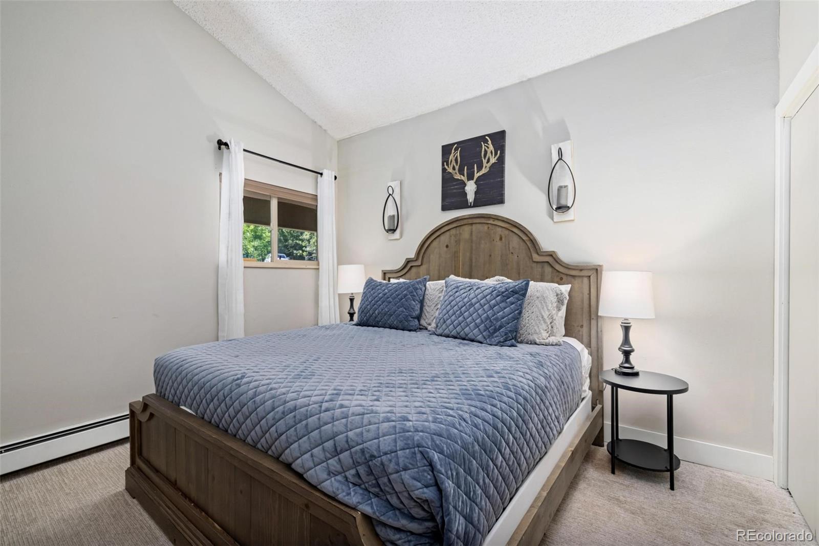 MLS Image #18 for 2449  ryan gulch court,silverthorne, Colorado