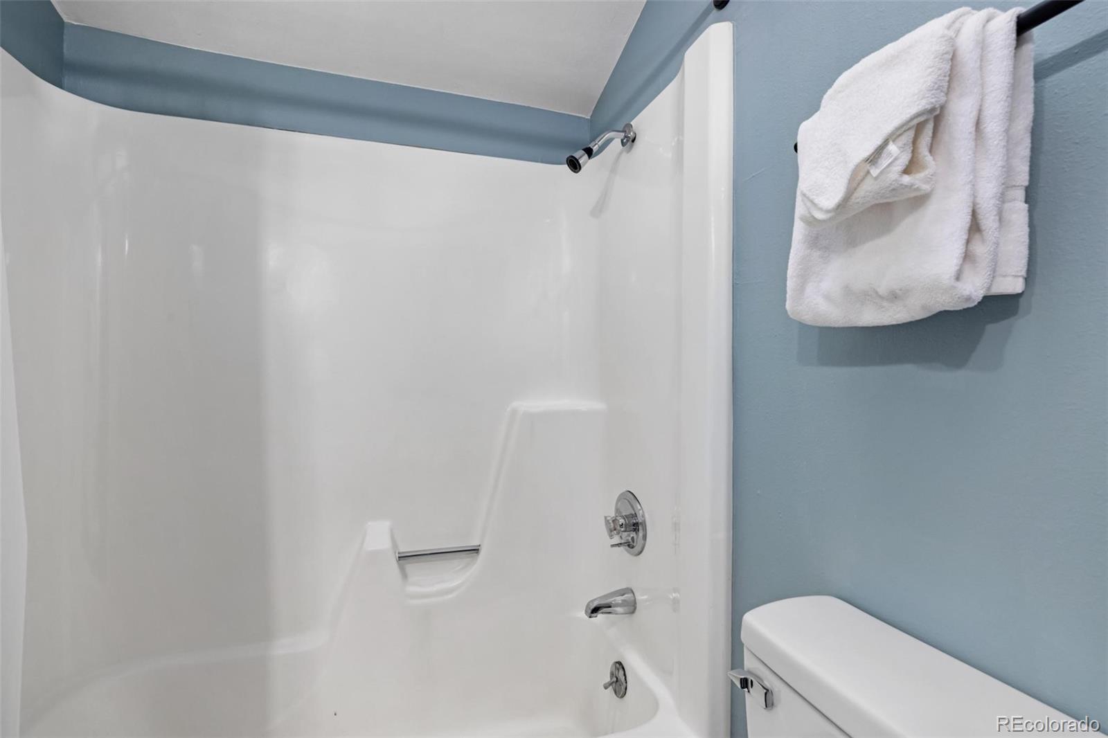 MLS Image #24 for 2449  ryan gulch court,silverthorne, Colorado