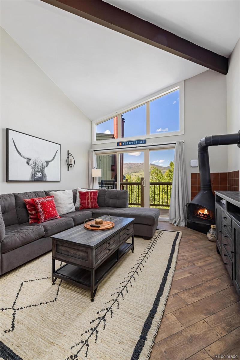 MLS Image #6 for 2449  ryan gulch court,silverthorne, Colorado
