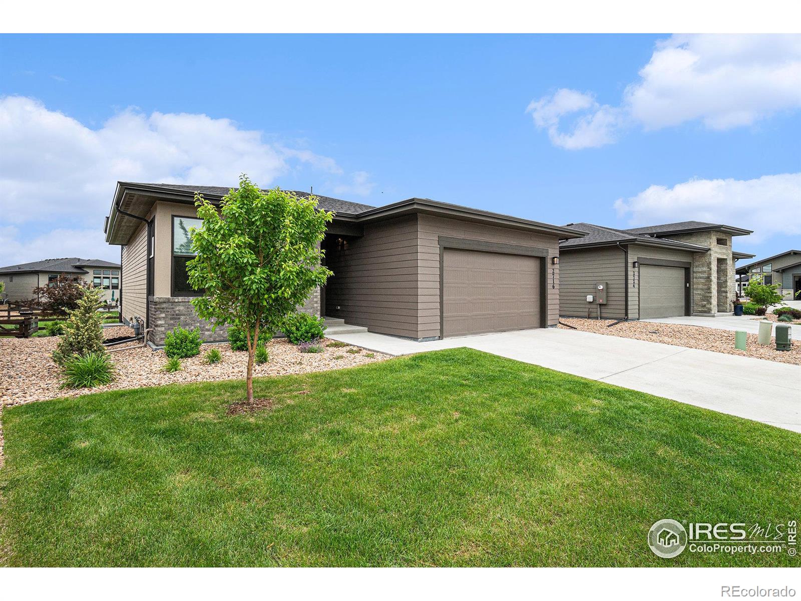 MLS Image #2 for 2716  san cristobal court,timnath, Colorado