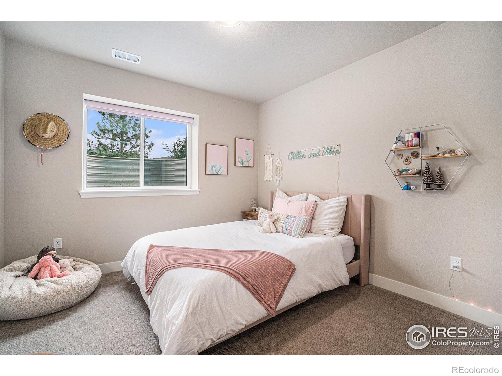 MLS Image #20 for 2716  san cristobal court,timnath, Colorado