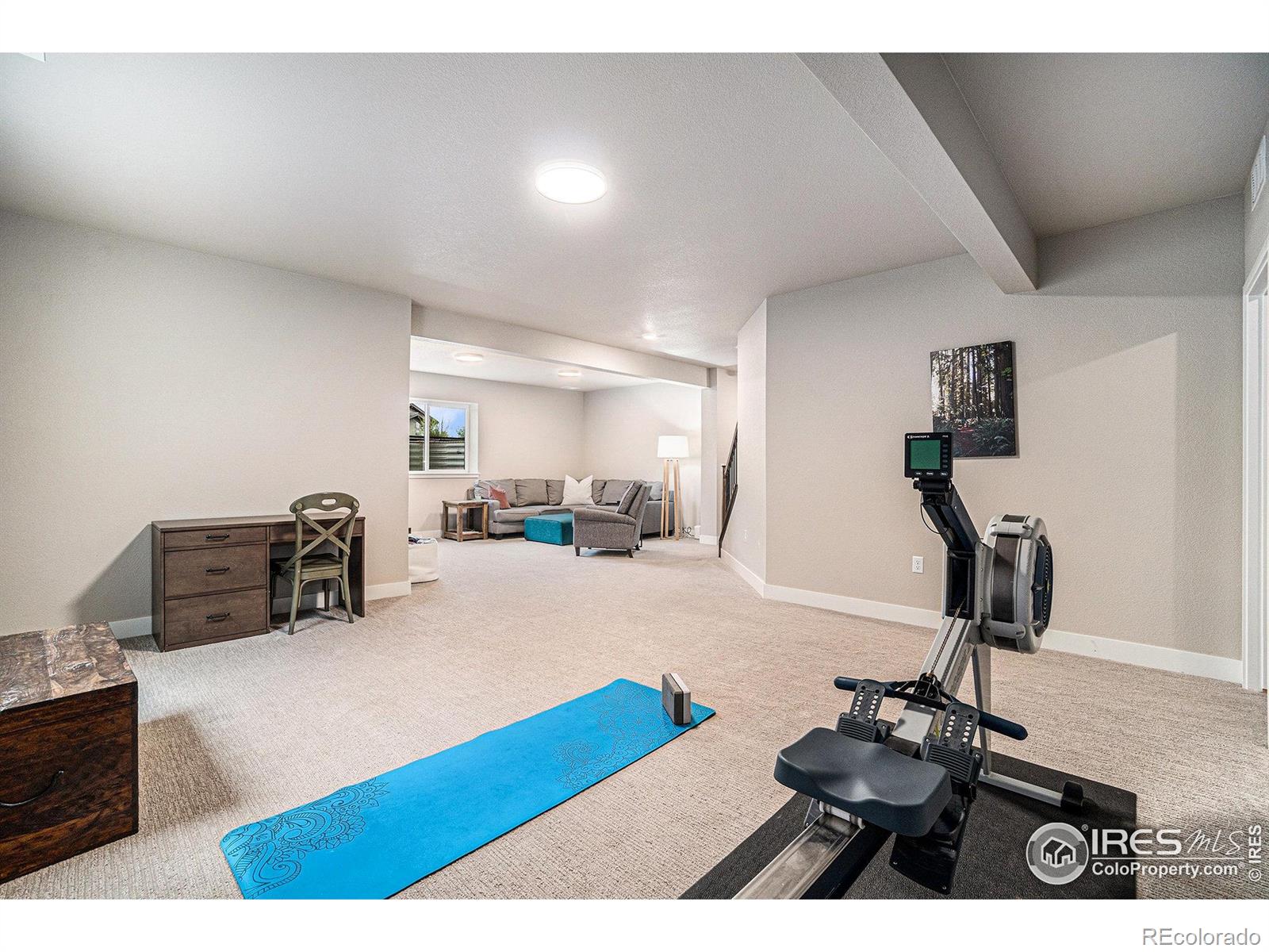 MLS Image #27 for 2716  san cristobal court,timnath, Colorado
