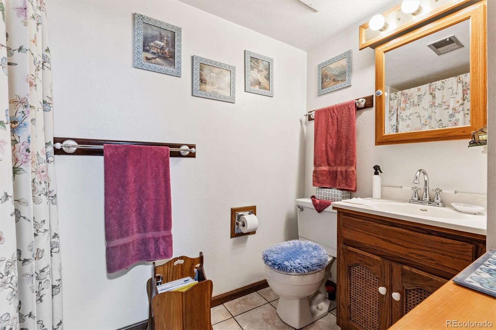 MLS Image #12 for 2516 s cimarron street,aurora, Colorado