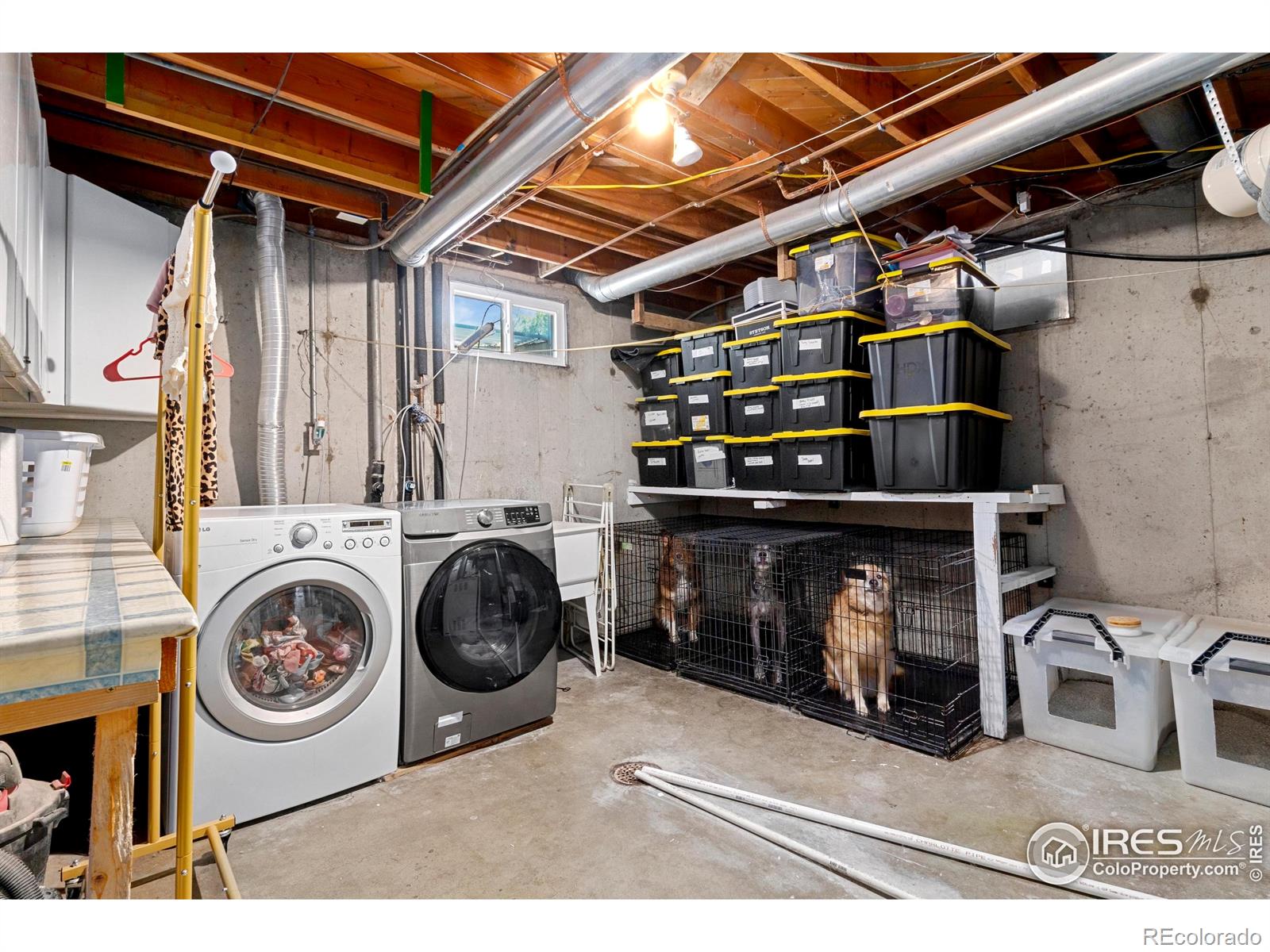 MLS Image #28 for 10731  blue jay lane,northglenn, Colorado