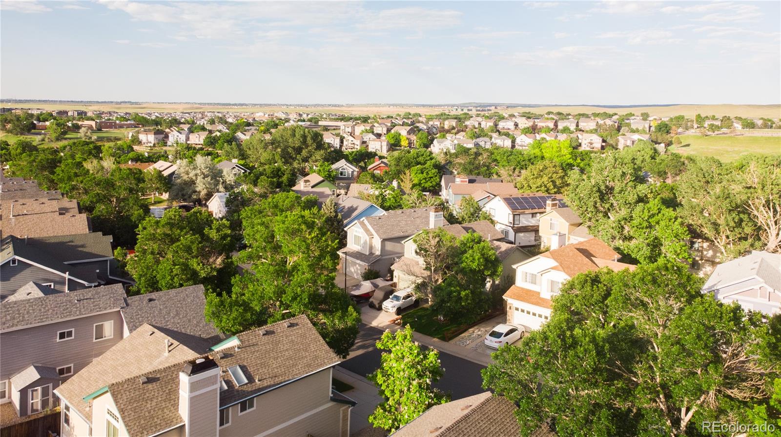 MLS Image #29 for 7627  halleys drive,littleton, Colorado
