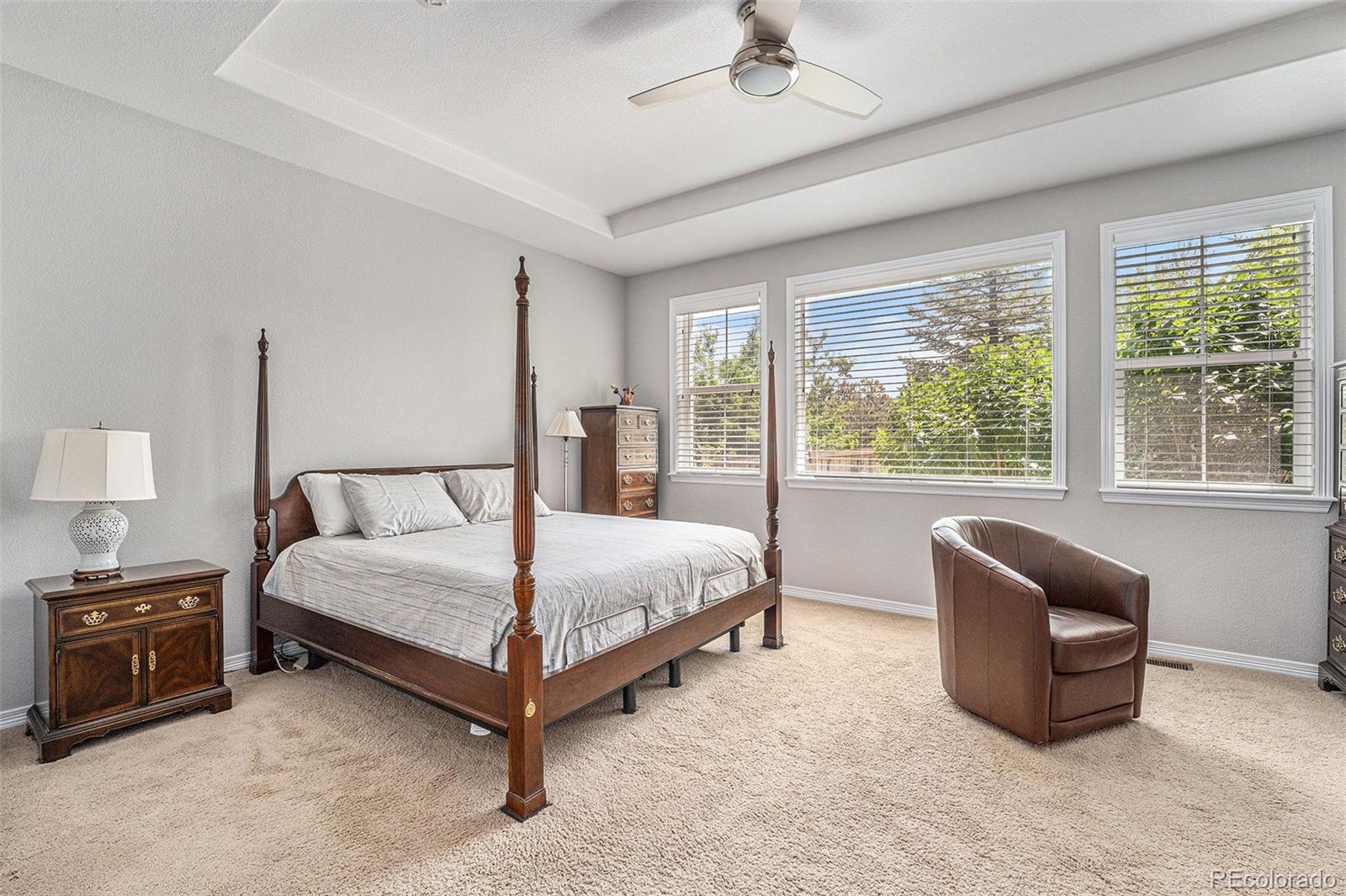 MLS Image #12 for 10994  shadowbrook circle,highlands ranch, Colorado