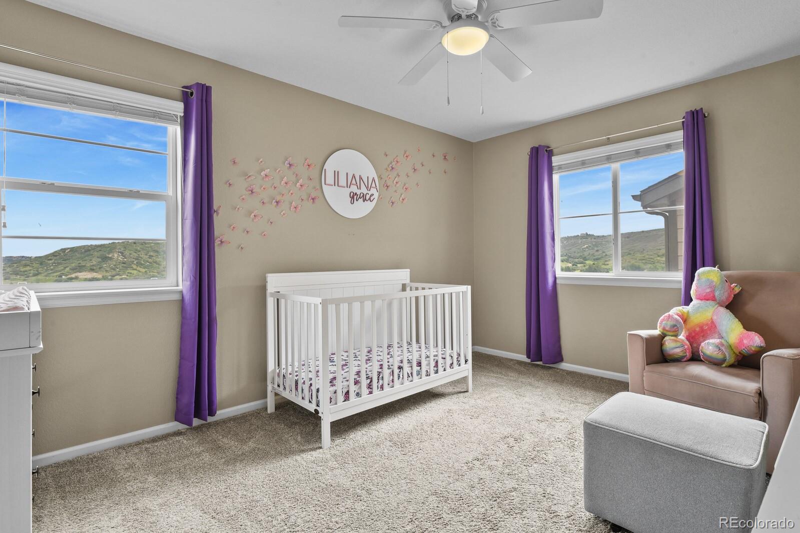 MLS Image #28 for 2549  loon circle,castle rock, Colorado