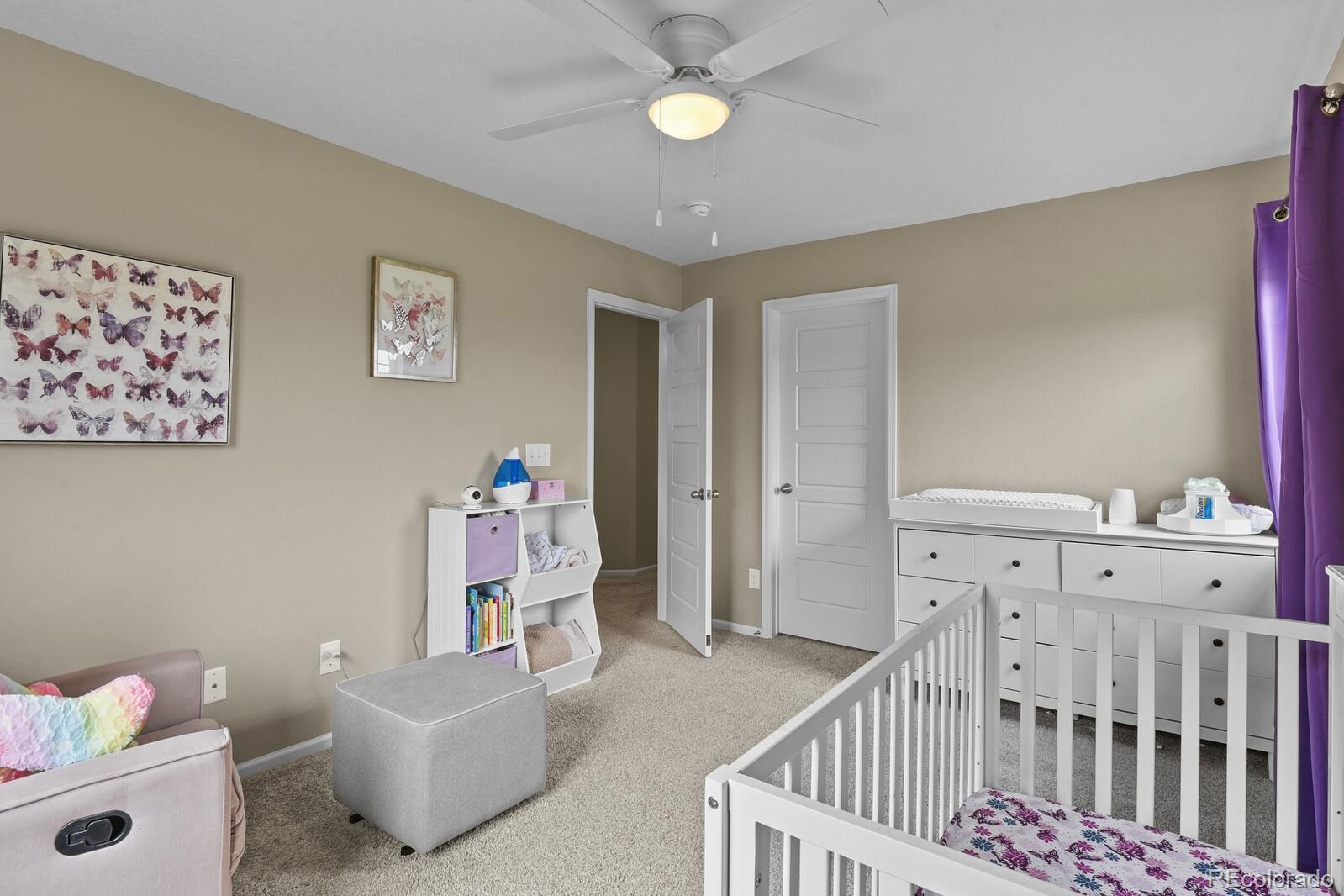 MLS Image #29 for 2549  loon circle,castle rock, Colorado
