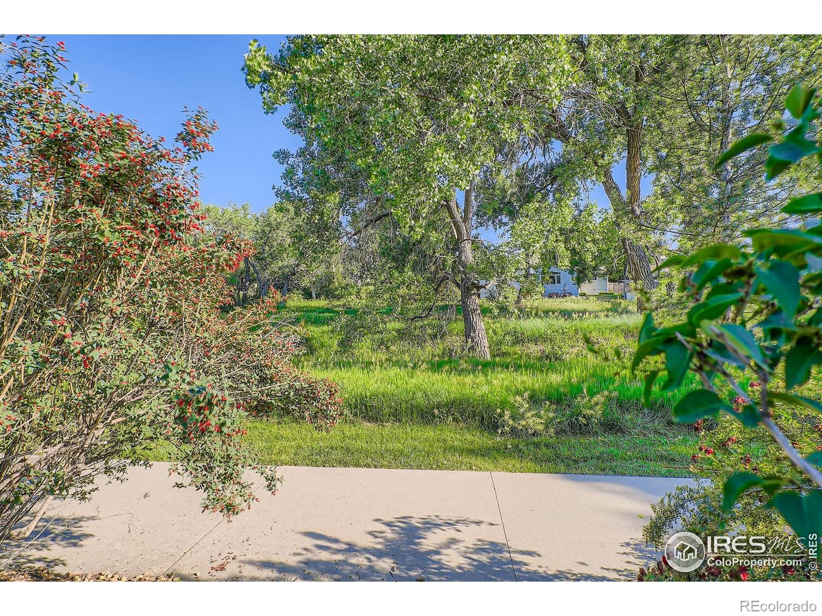 MLS Image #27 for 2615  falcon drive,longmont, Colorado
