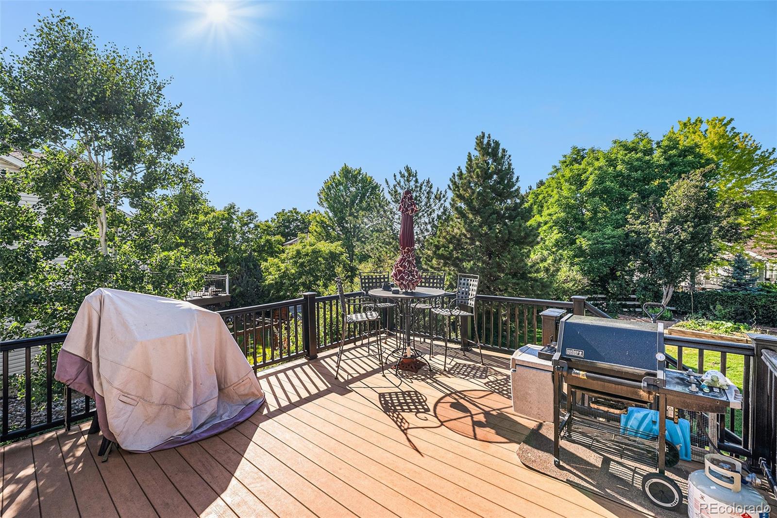 MLS Image #26 for 1010  home farm circle,denver, Colorado