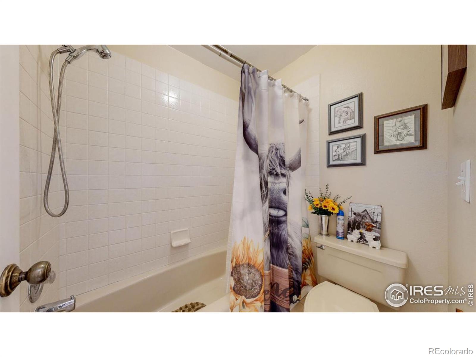 MLS Image #10 for 4557 w pioneer lane,greeley, Colorado