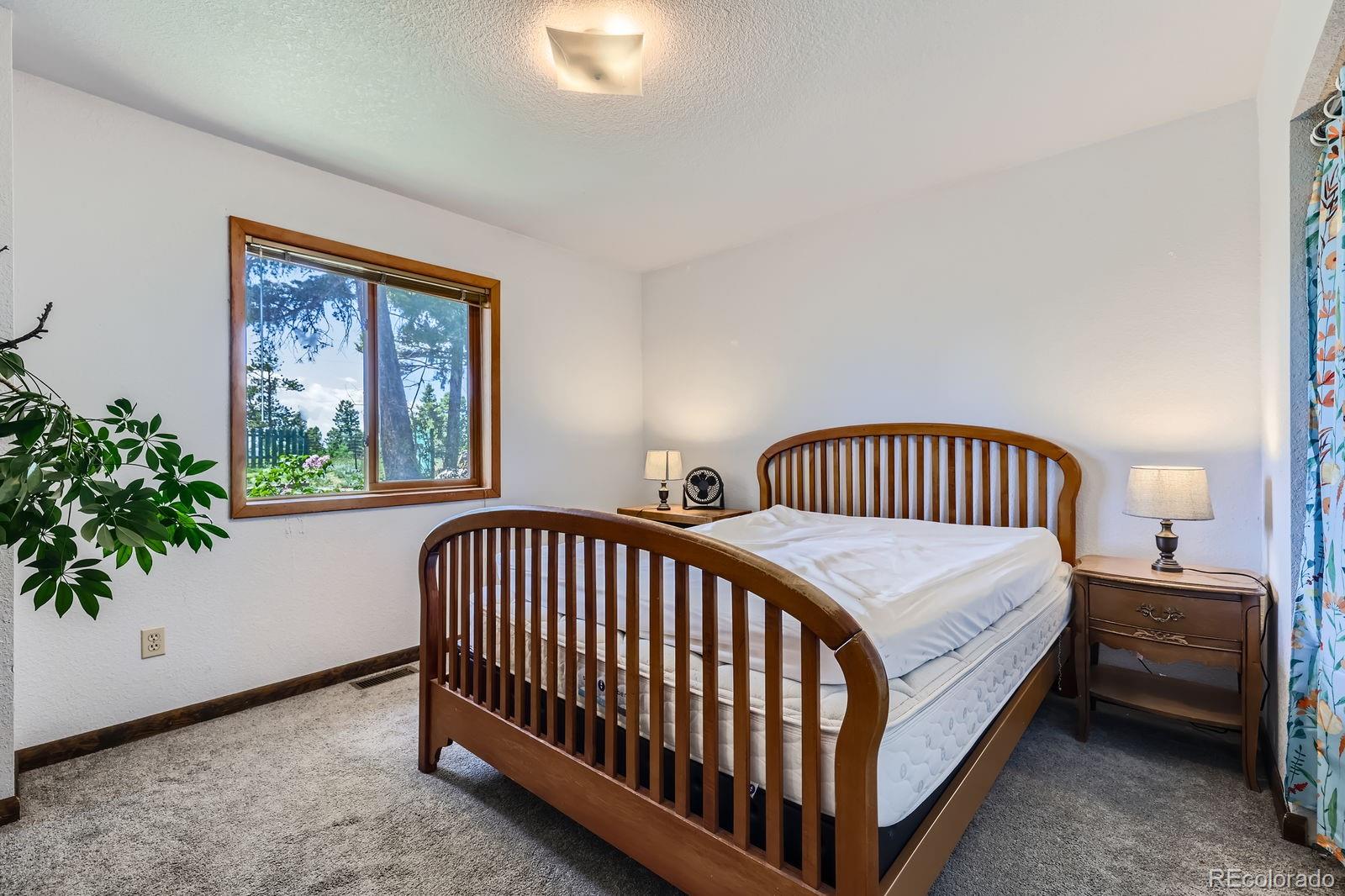 MLS Image #16 for 147  shavano creek trail,florissant, Colorado