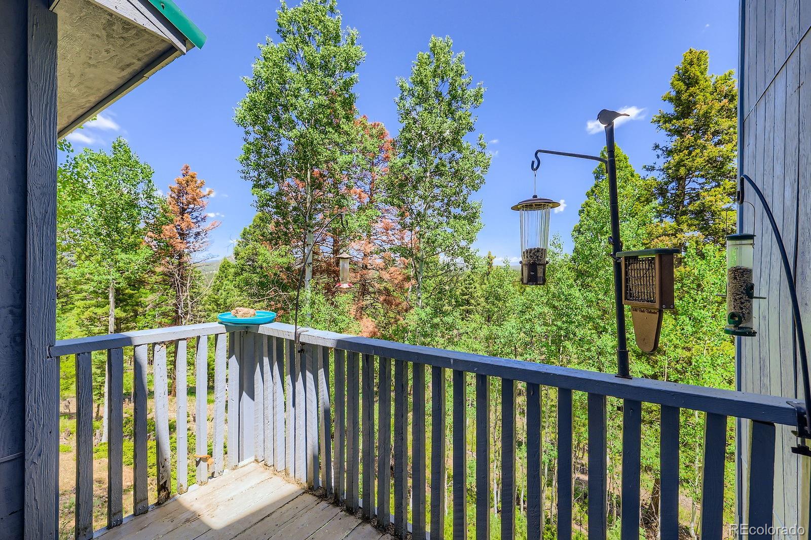 MLS Image #24 for 147  shavano creek trail,florissant, Colorado