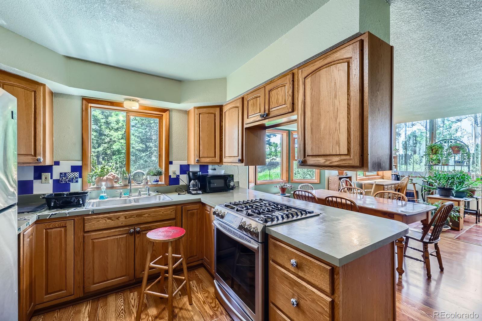 MLS Image #6 for 147  shavano creek trail,florissant, Colorado