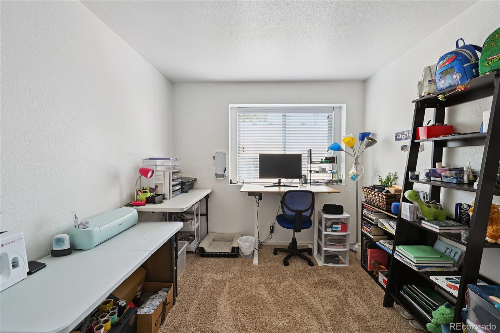 MLS Image #20 for 10223  vine court,thornton, Colorado