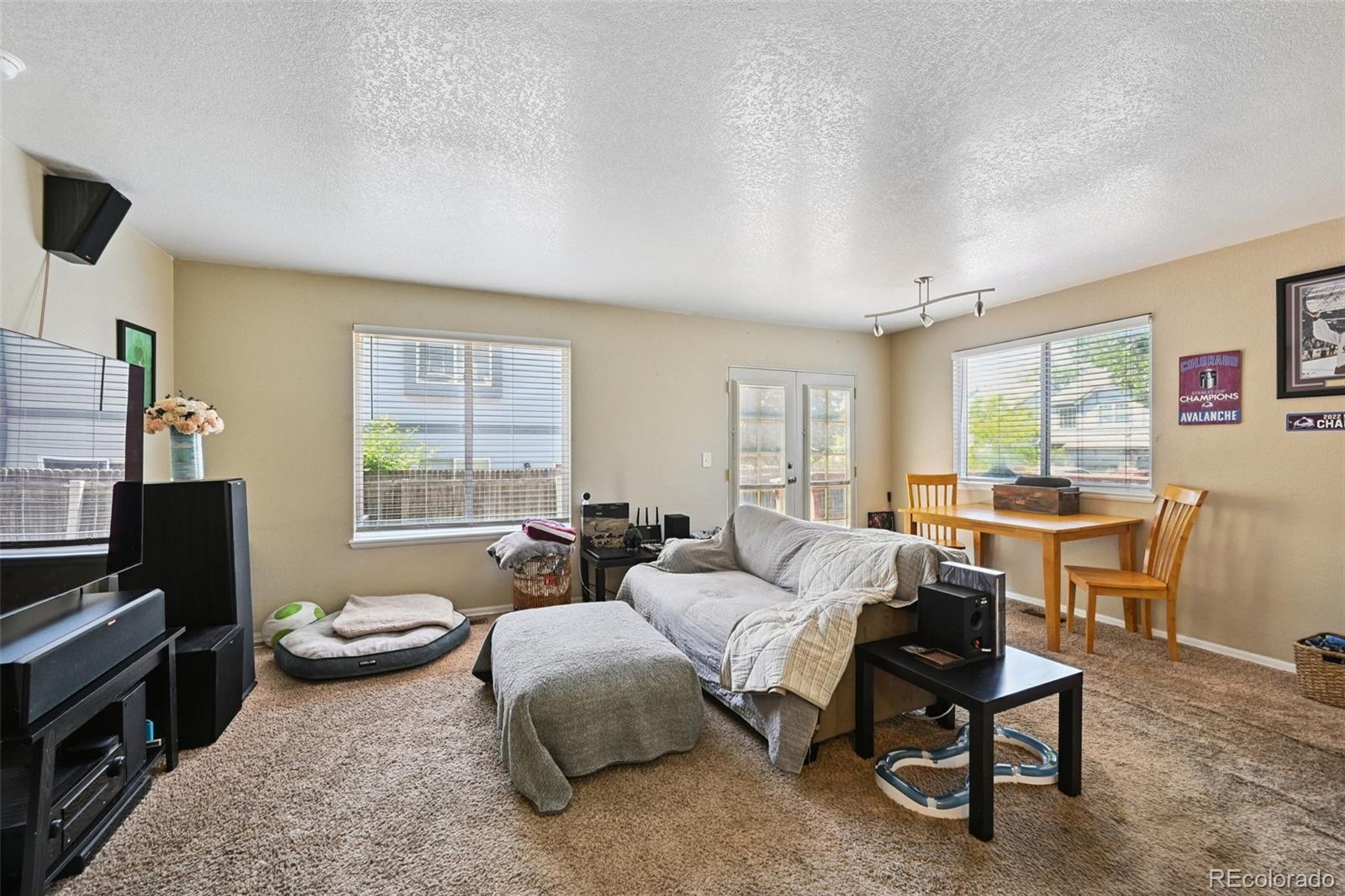 MLS Image #7 for 10223  vine court,thornton, Colorado