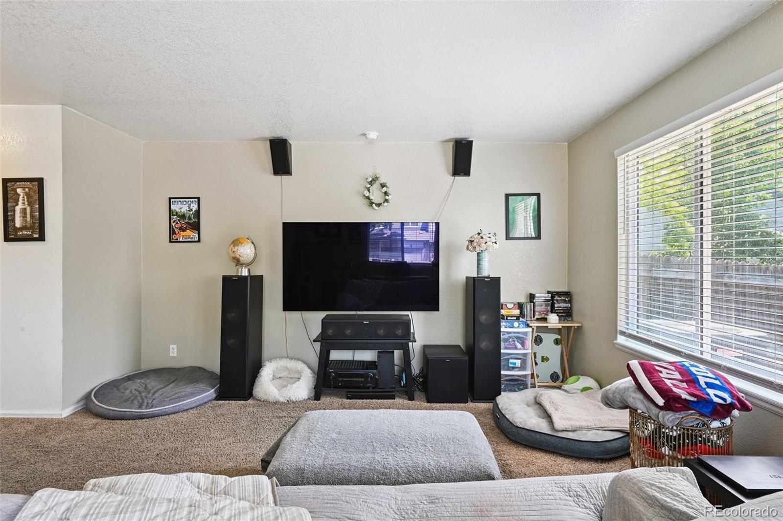 MLS Image #8 for 10223  vine court,thornton, Colorado