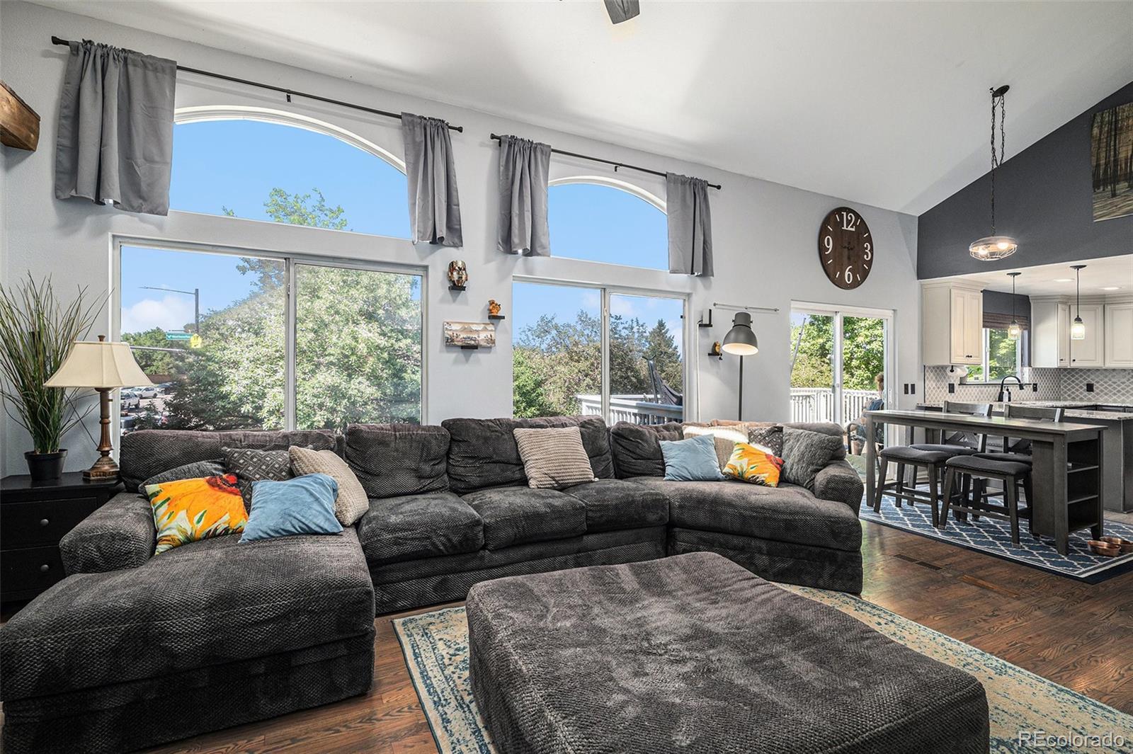 MLS Image #12 for 9924  silver maple way,highlands ranch, Colorado