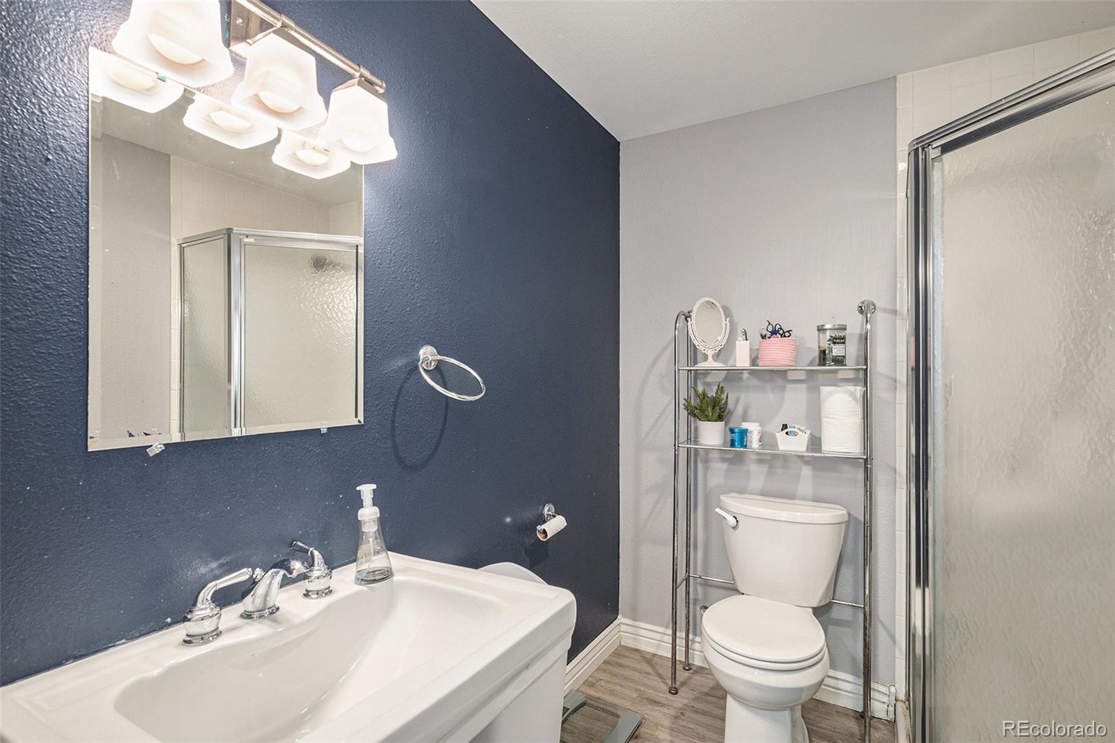 MLS Image #37 for 9924  silver maple way,highlands ranch, Colorado