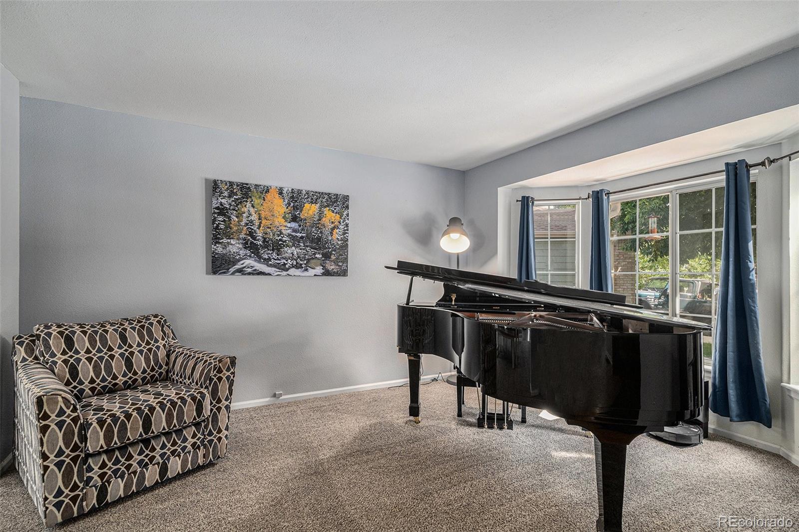 MLS Image #5 for 9924  silver maple way,highlands ranch, Colorado