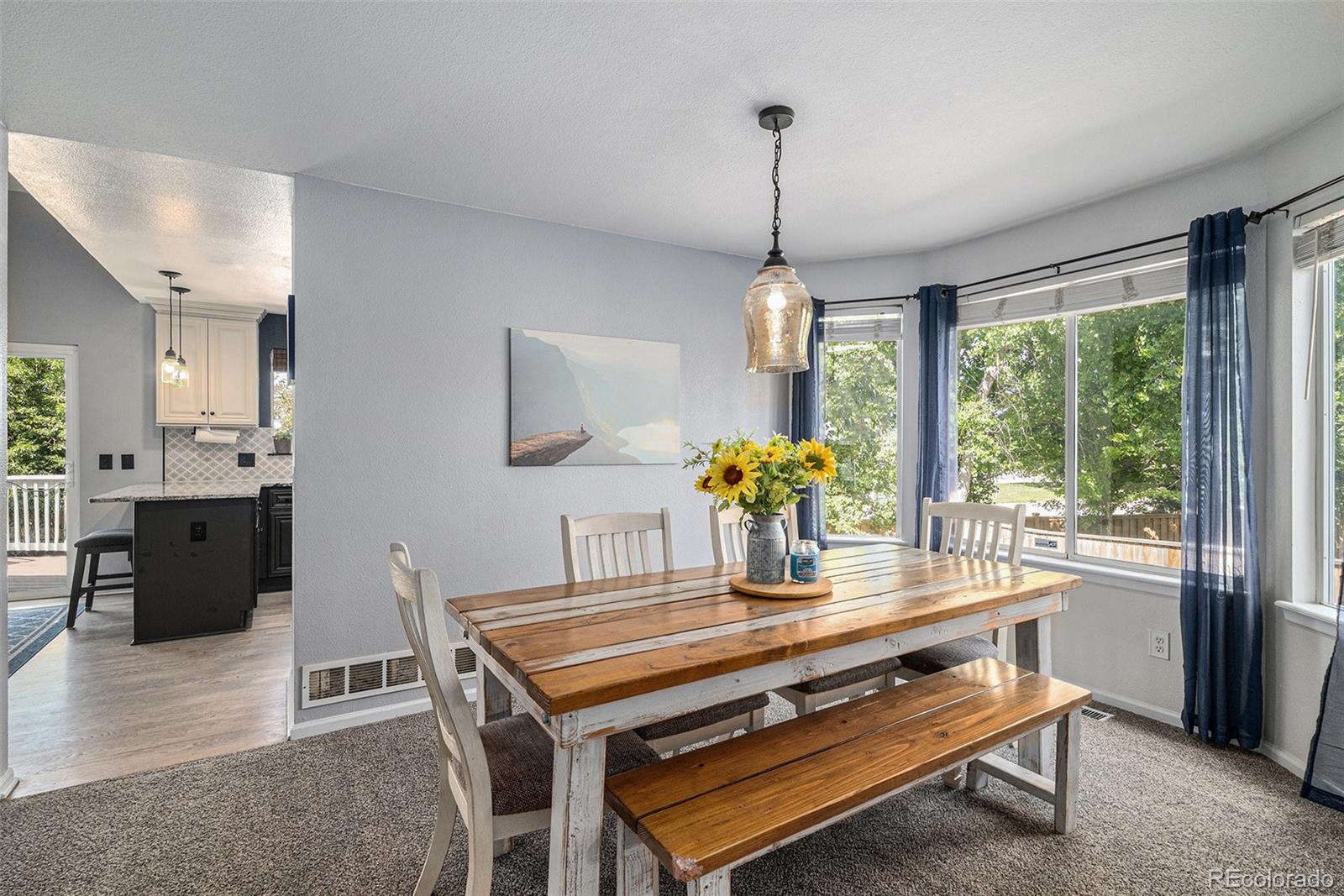 MLS Image #6 for 9924  silver maple way,highlands ranch, Colorado