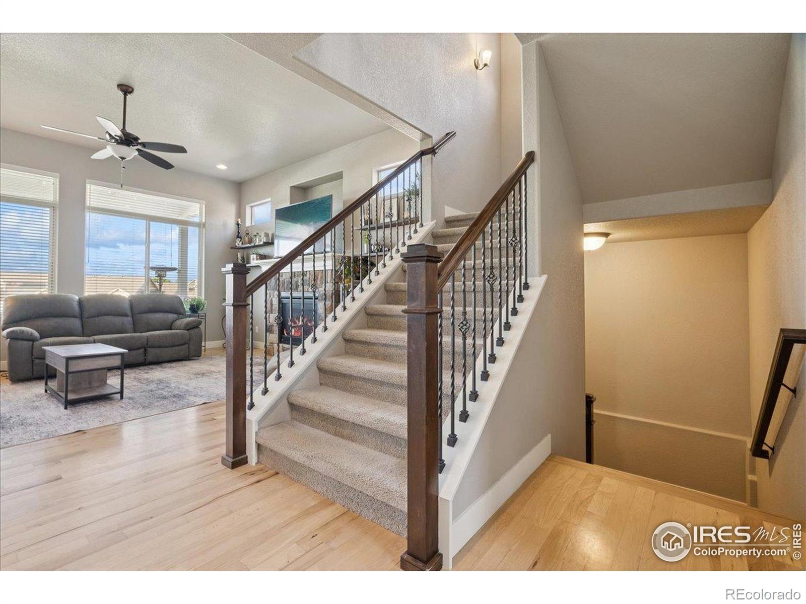 MLS Image #12 for 630  vermilion peak drive,windsor, Colorado