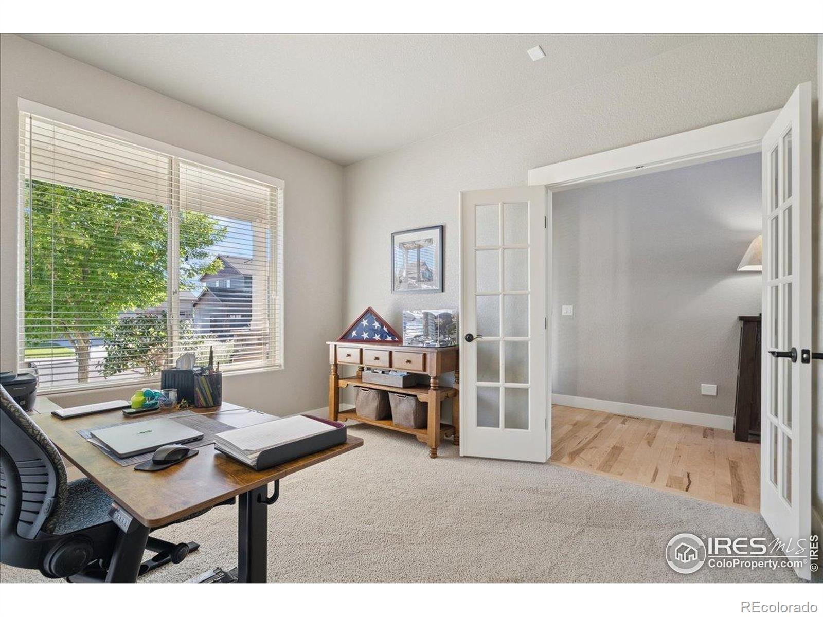 MLS Image #13 for 630  vermilion peak drive,windsor, Colorado