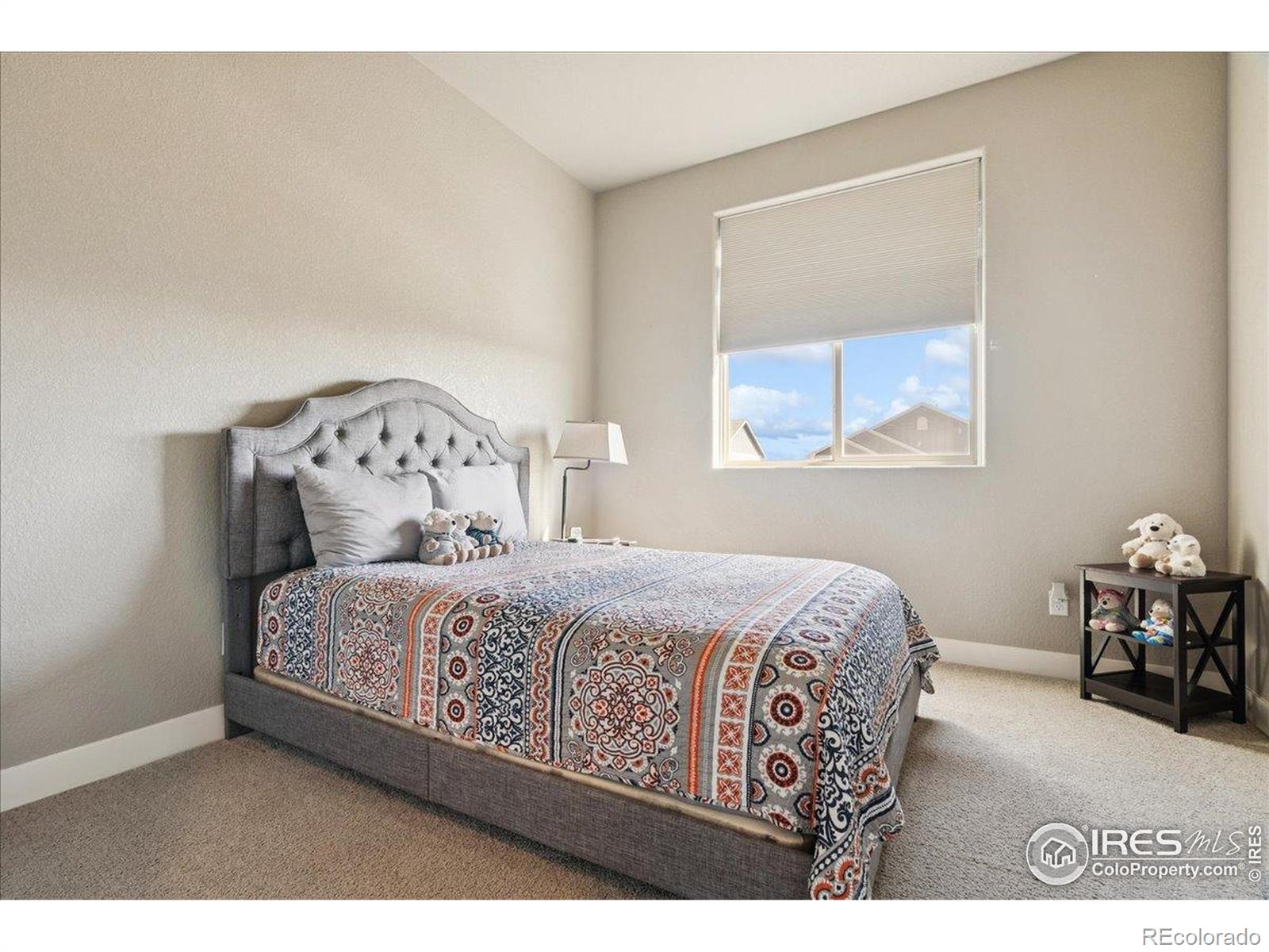 MLS Image #22 for 630  vermilion peak drive,windsor, Colorado