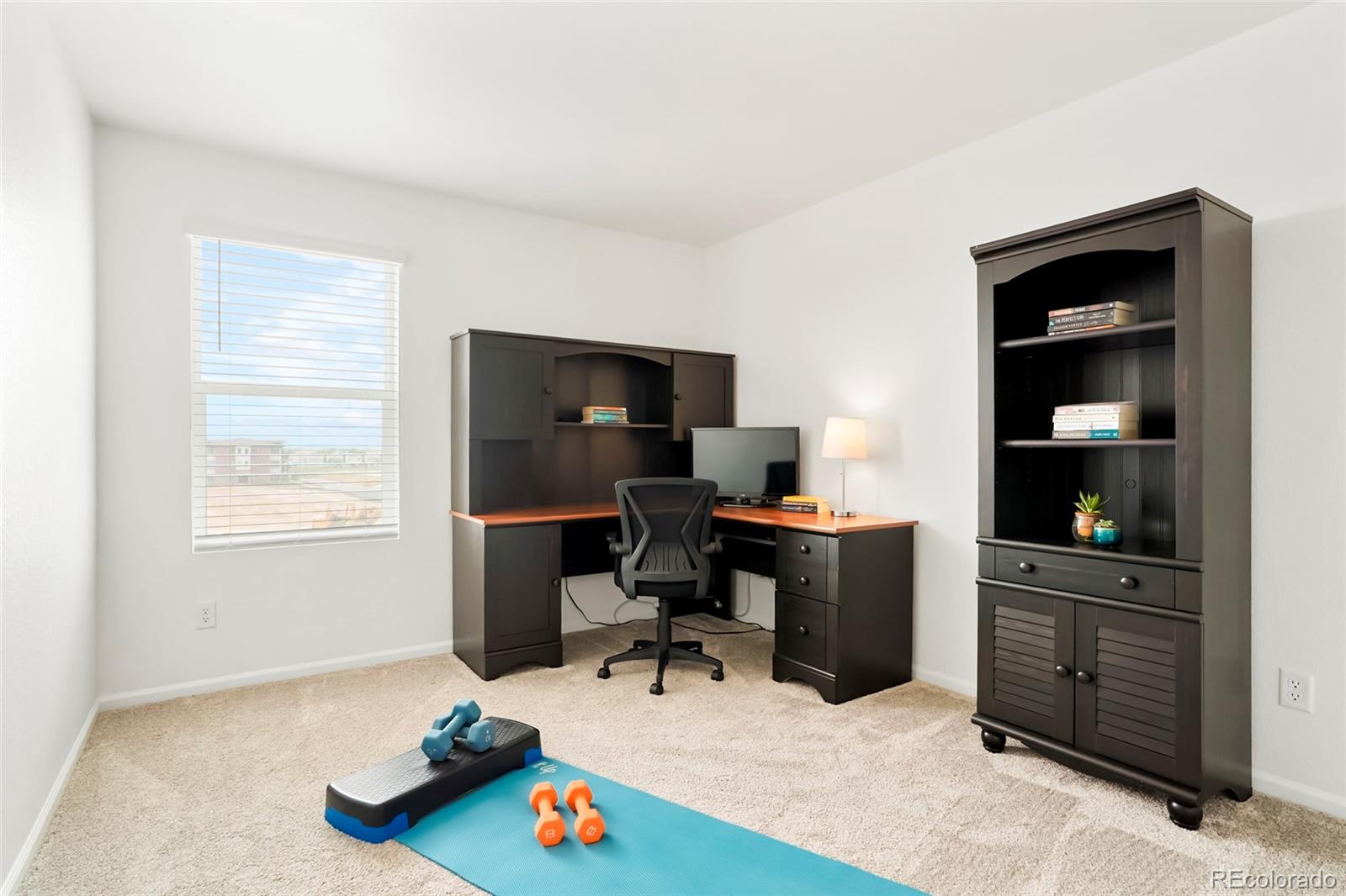 MLS Image #19 for 21528 e 59th place ,aurora, Colorado