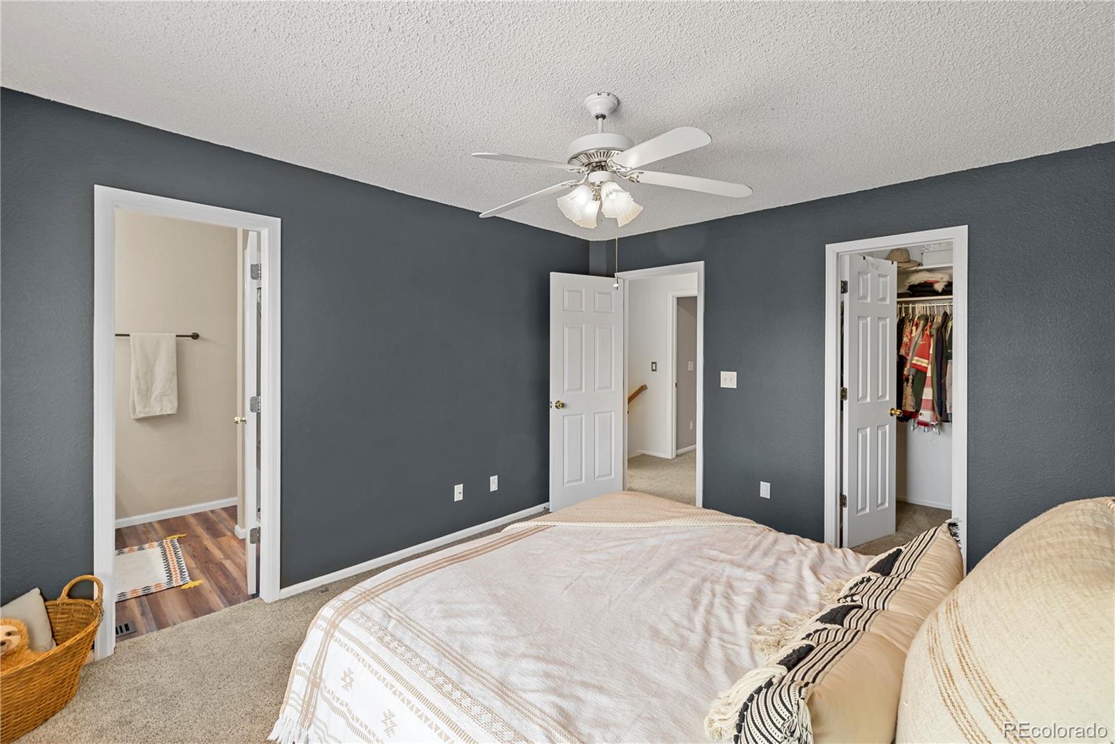 MLS Image #18 for 4393 e andover avenue,castle rock, Colorado