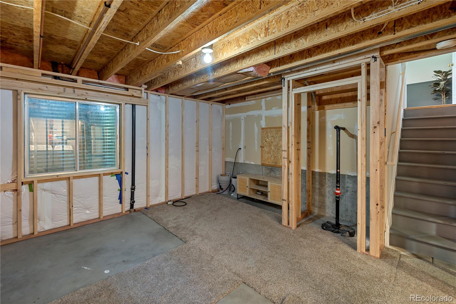MLS Image #27 for 4393 e andover avenue,castle rock, Colorado