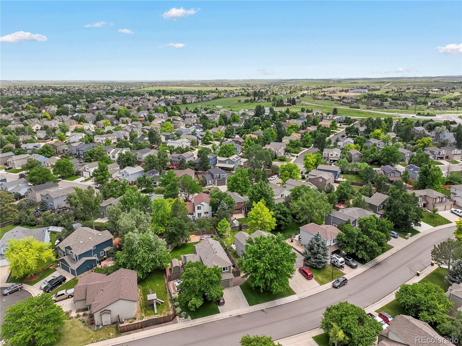 MLS Image #41 for 4393 e andover avenue,castle rock, Colorado