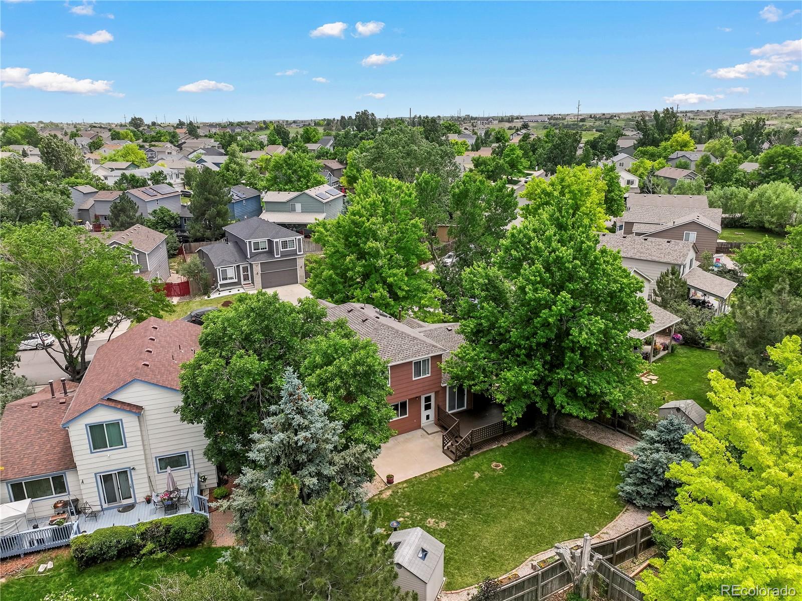 MLS Image #47 for 4393 e andover avenue,castle rock, Colorado