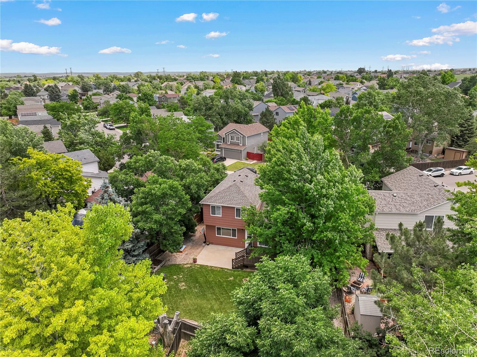 MLS Image #48 for 4393 e andover avenue,castle rock, Colorado