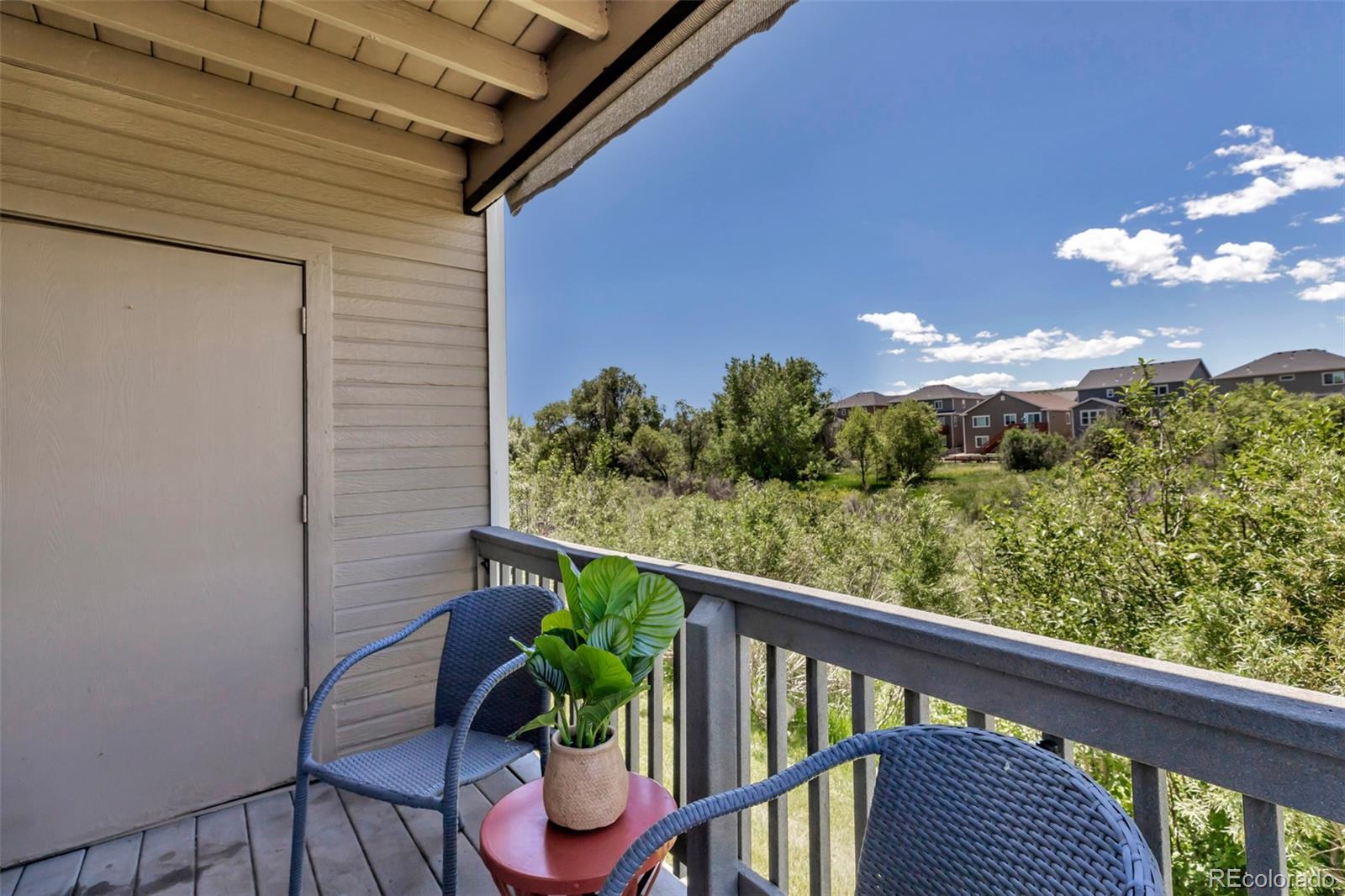 MLS Image #12 for 1135 s gilbert street,castle rock, Colorado