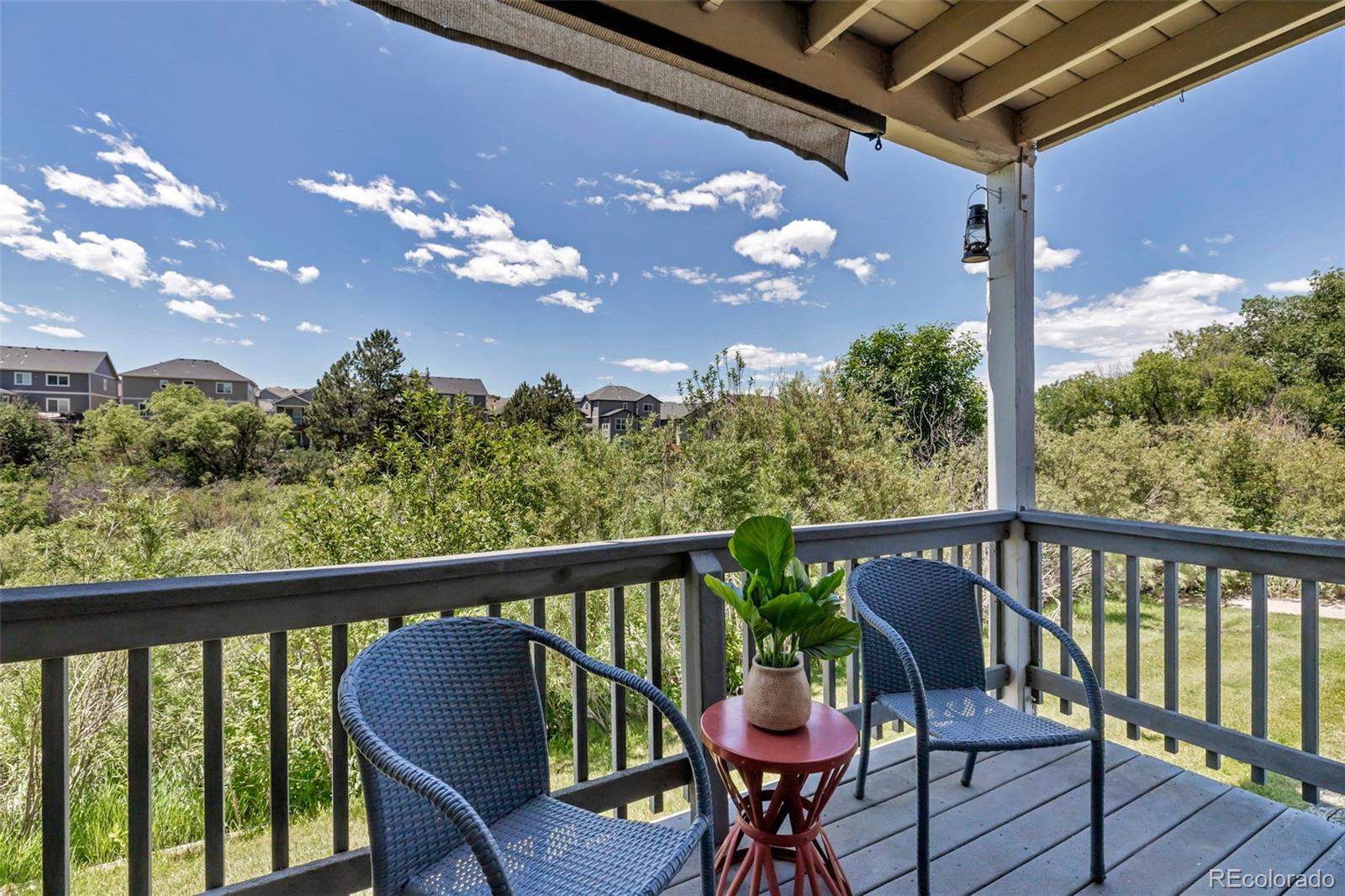 MLS Image #9 for 1135 s gilbert street,castle rock, Colorado