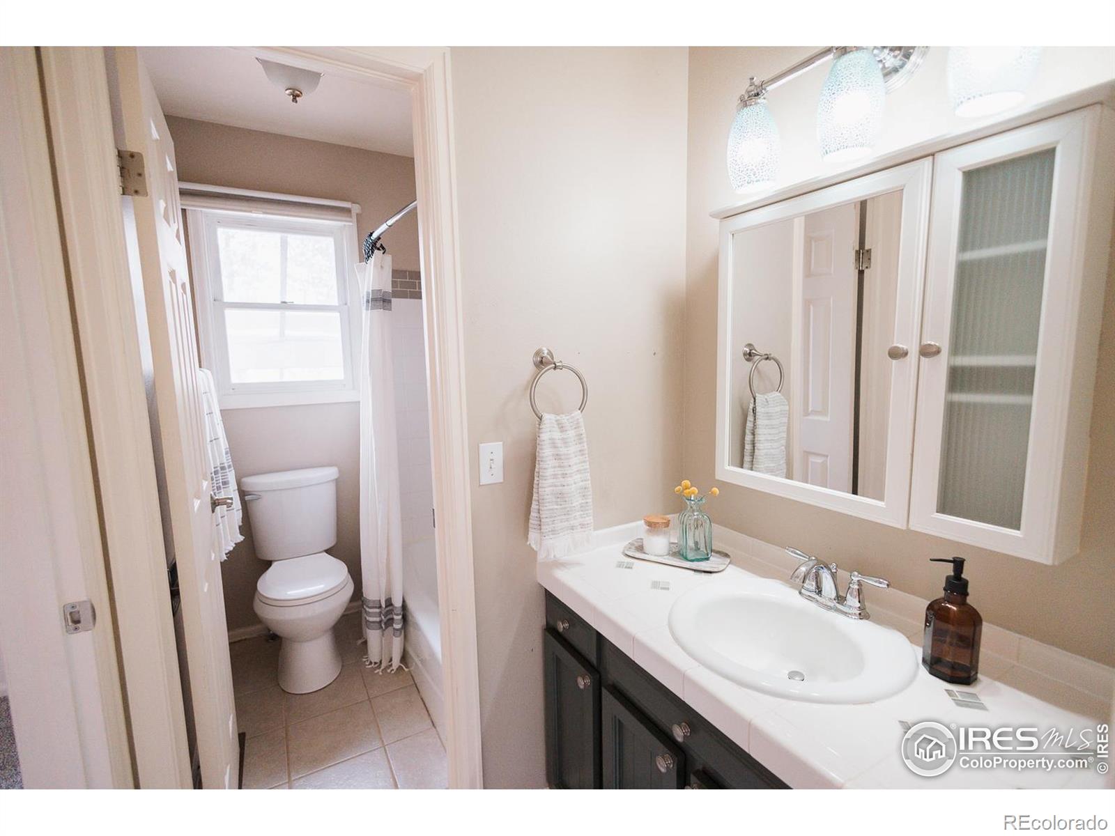 MLS Image #16 for 3025  regatta lane,fort collins, Colorado