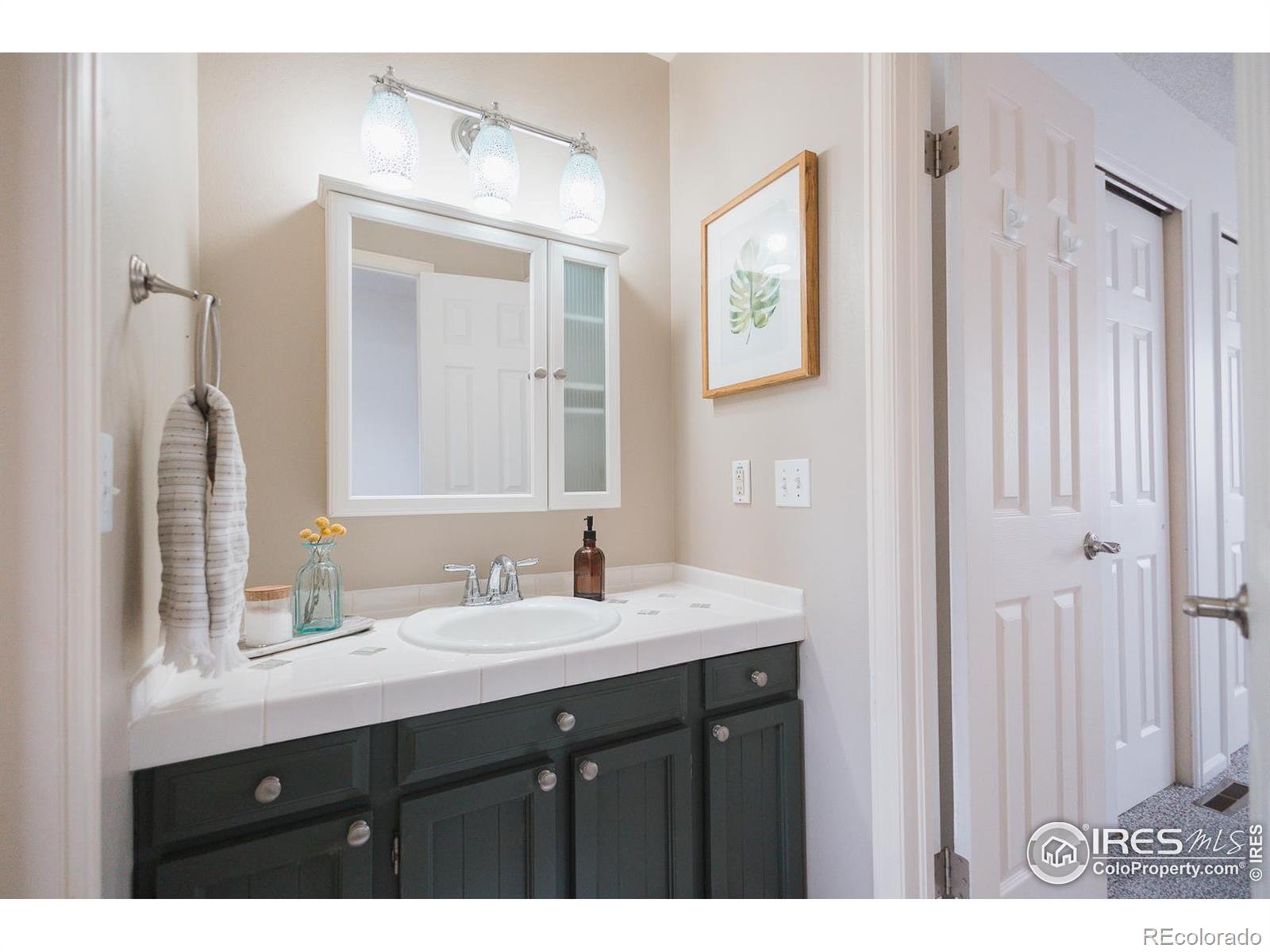 MLS Image #17 for 3025  regatta lane,fort collins, Colorado