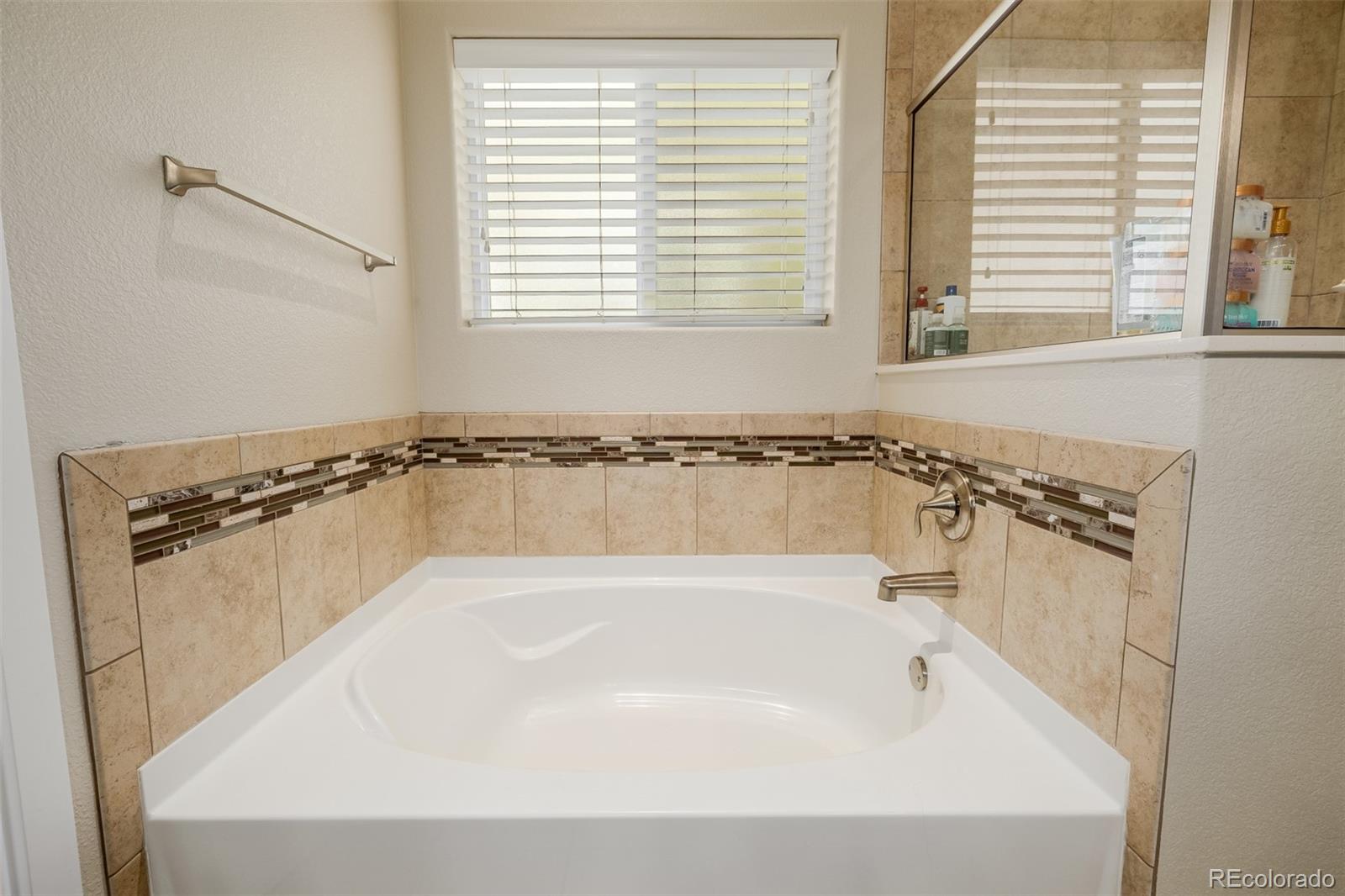 MLS Image #19 for 1693  maseca plaza way,severance, Colorado