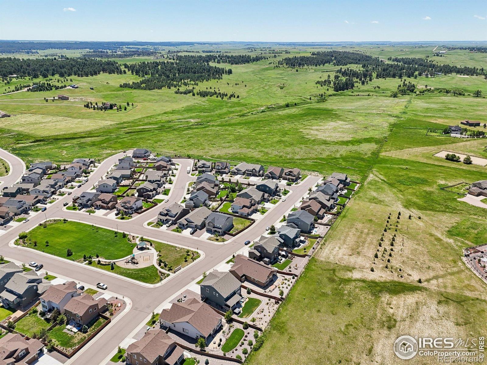 MLS Image #6 for 1297  black haw street,elizabeth, Colorado