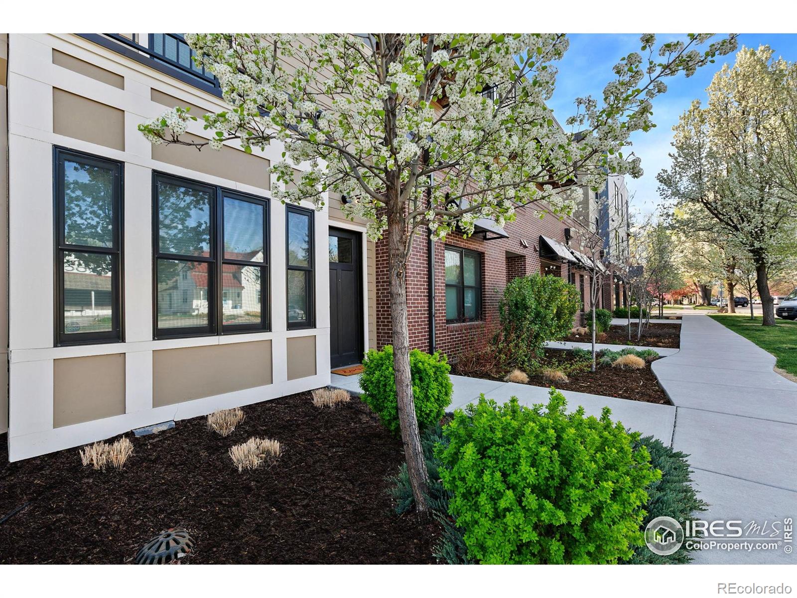 MLS Image #21 for 302 n meldrum street,fort collins, Colorado