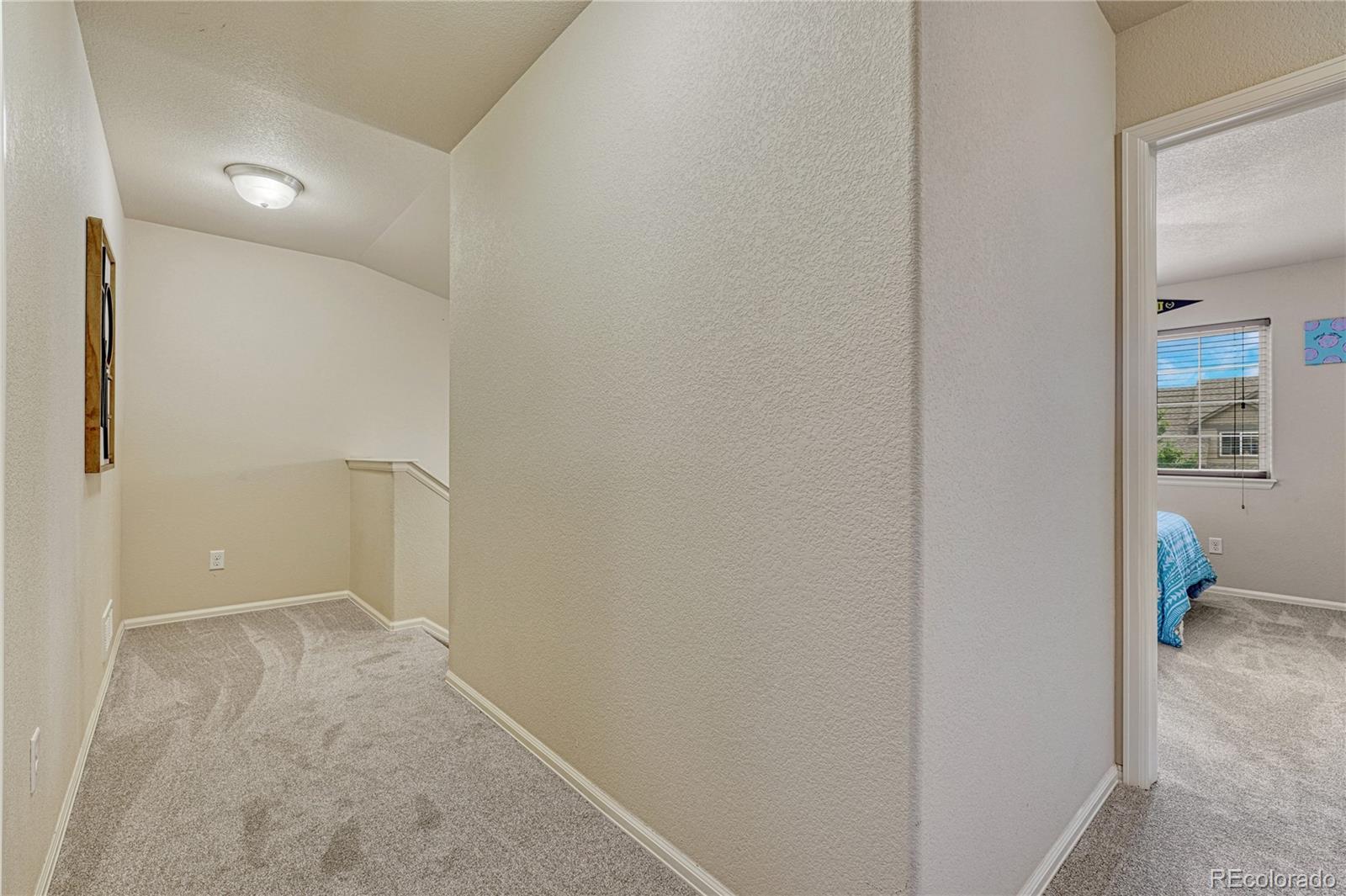 MLS Image #23 for 4620  katahdin way,colorado springs, Colorado