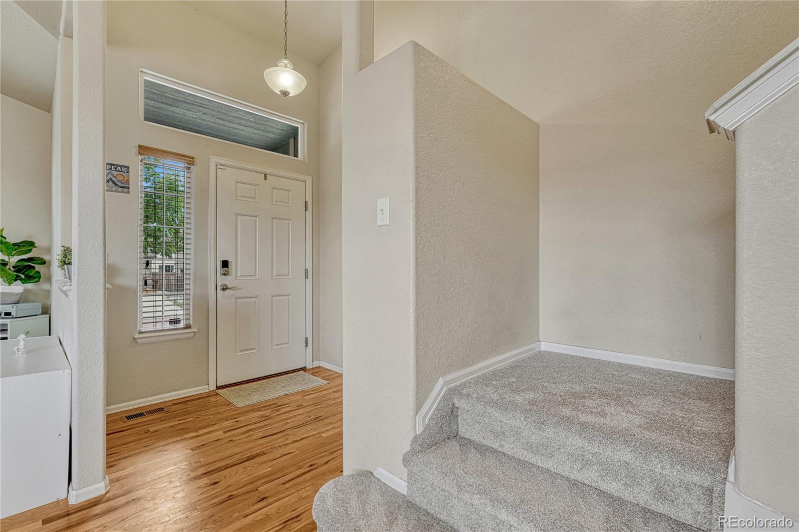 MLS Image #5 for 4620  katahdin way,colorado springs, Colorado