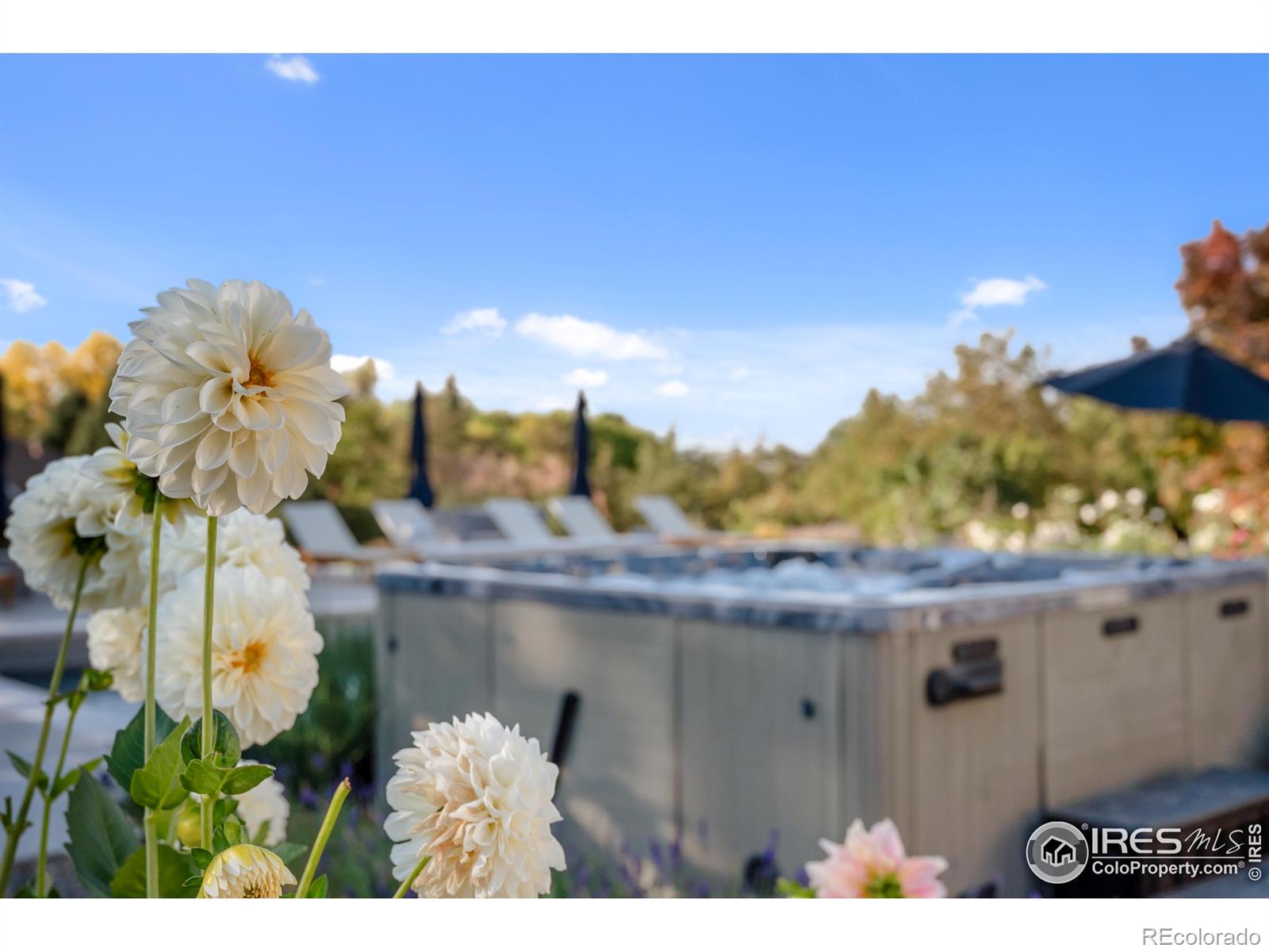 MLS Image #26 for 6709  walker court,niwot, Colorado