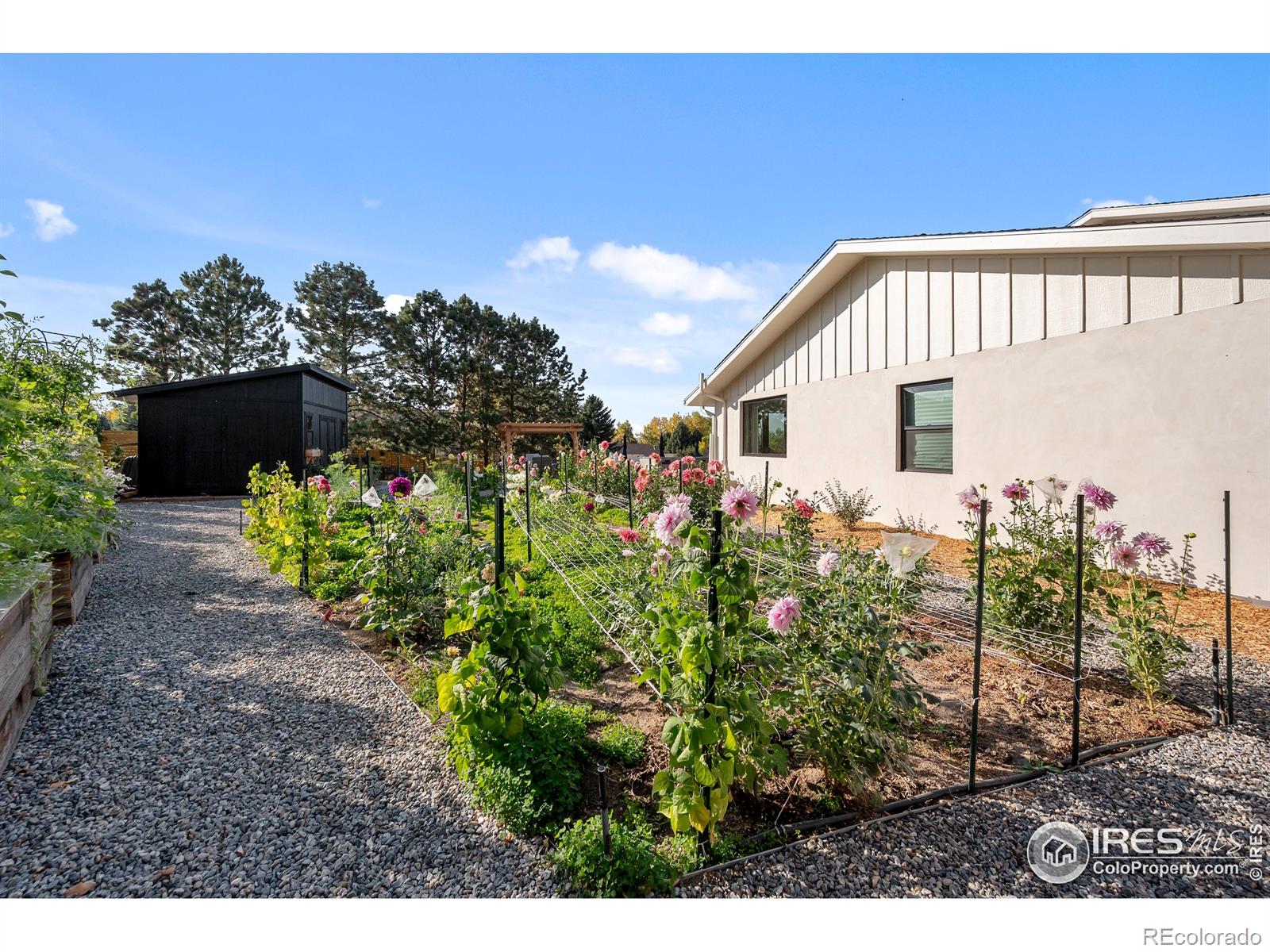 MLS Image #27 for 6709  walker court,niwot, Colorado