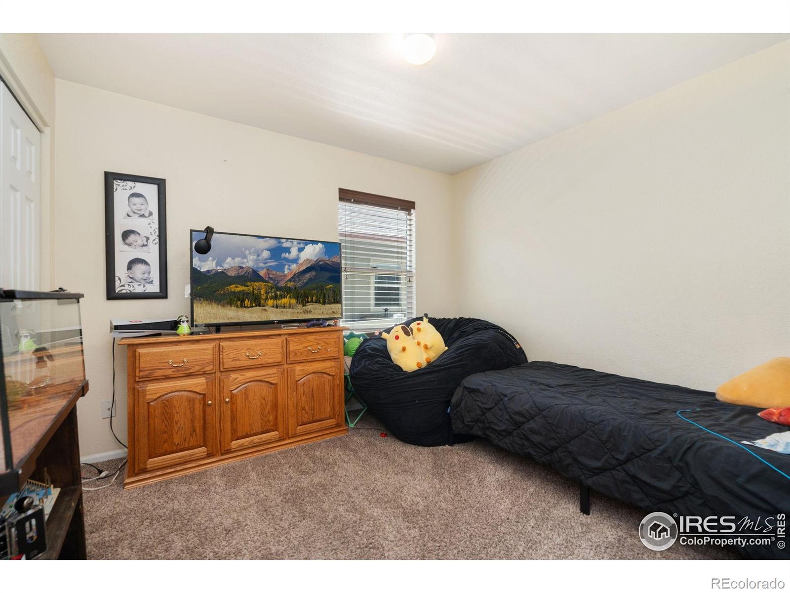 MLS Image #14 for 770  lavastone avenue,loveland, Colorado