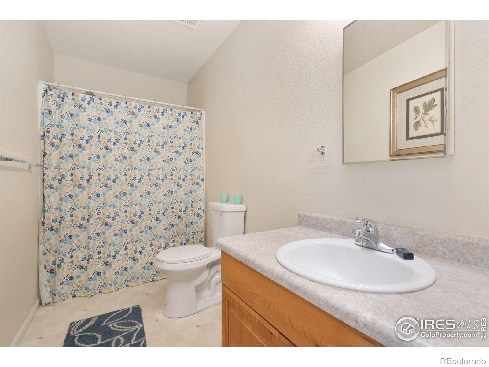 MLS Image #15 for 770  lavastone avenue,loveland, Colorado