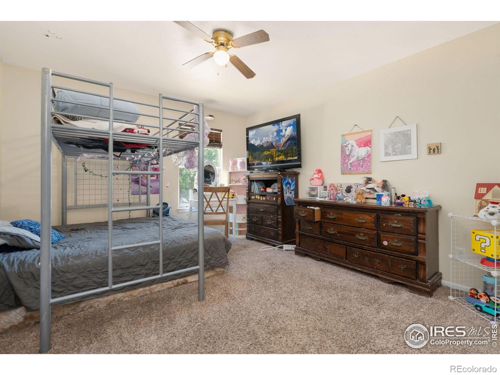 MLS Image #16 for 770  lavastone avenue,loveland, Colorado
