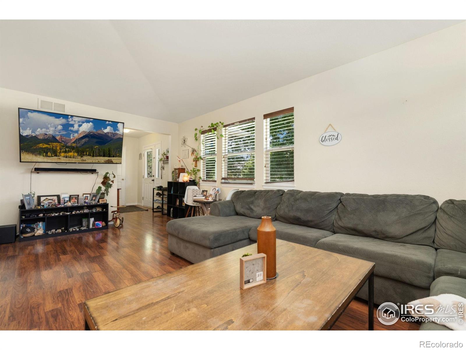 MLS Image #7 for 770  lavastone avenue,loveland, Colorado