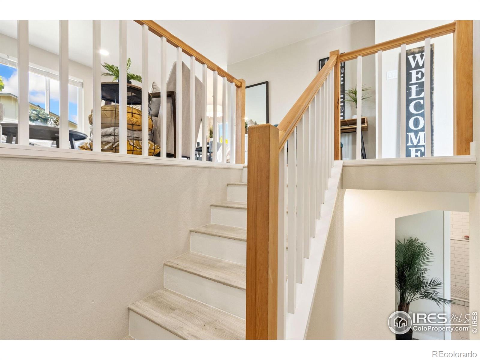 MLS Image #11 for 1101  timber lane,fort collins, Colorado